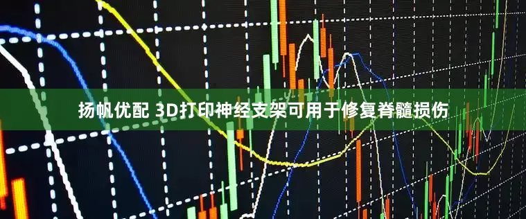 扬帆优配 3D打印神经支架可用于修复脊髓损伤